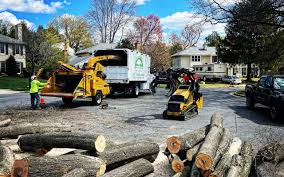 Best Tree Fertilization Services  in Belzoni, MS